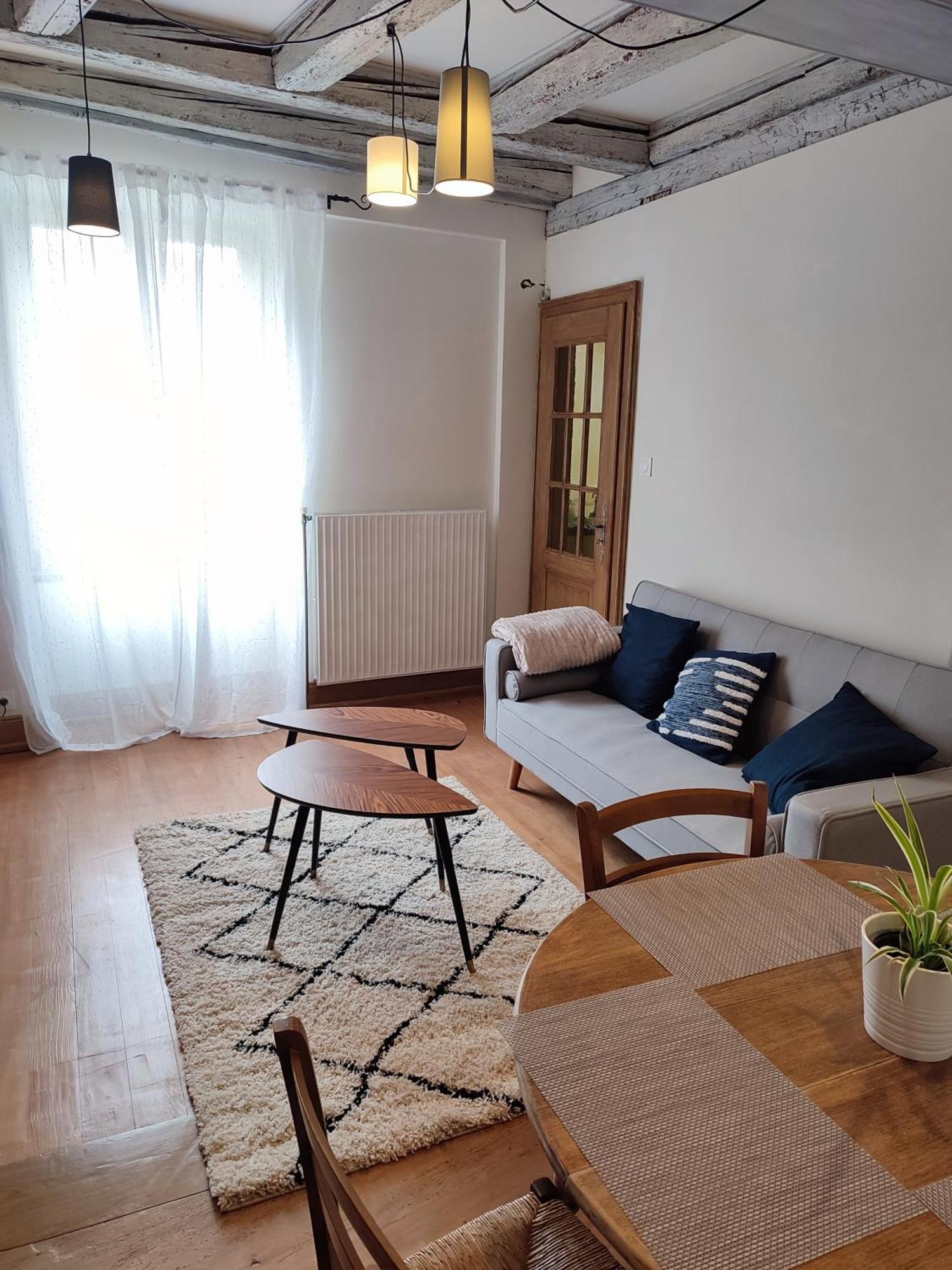 Chaleureux 3 Pieces Au Centre De Selestat Apartment Екстериор снимка